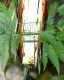 photographie